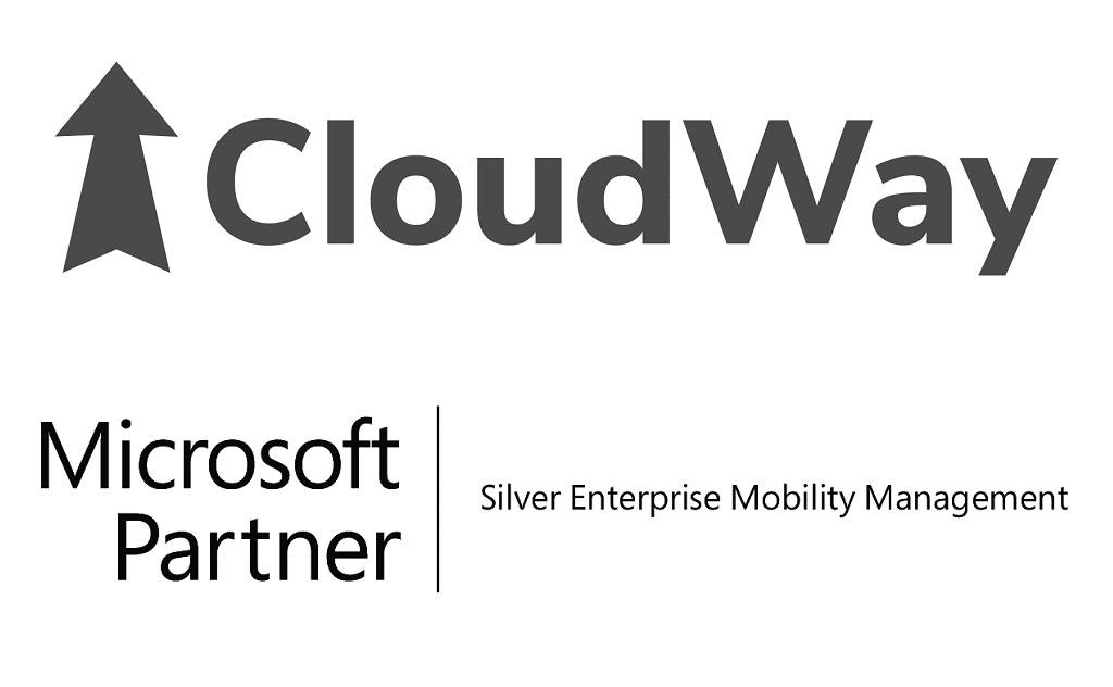 Microsoft Silver Partner