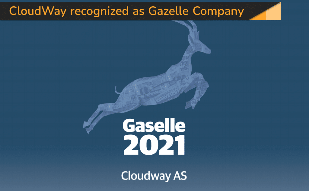 Image of Gazelle Company in Cloudway Norway